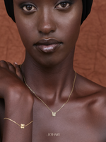 Load image into Gallery viewer, Dwennimmen Adinkra 18k Gold Vermeil Necklace
