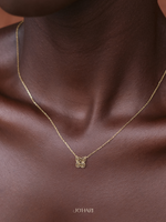 Load image into Gallery viewer, Dwennimmen Adinkra 18k Gold Vermeil Necklace
